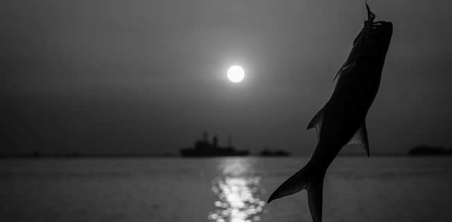 August 9th Full Moon in Aquarius – Sturgeon Moon